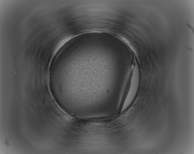 X0000091711187200709071405