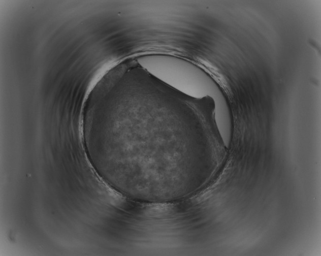 X0000091711188200709071405