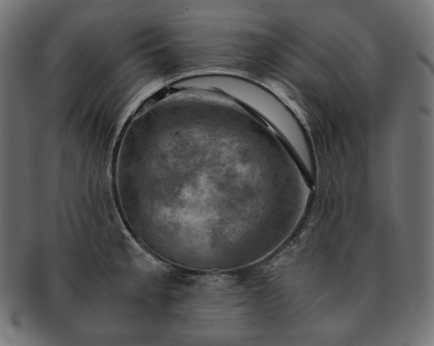 X0000091711189200709071405