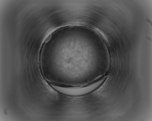 X0000091711192200709071405