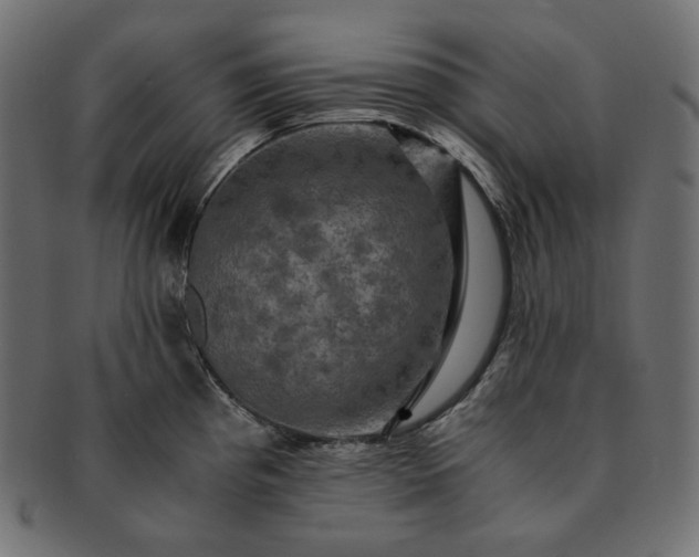 X0000091711193200709071405