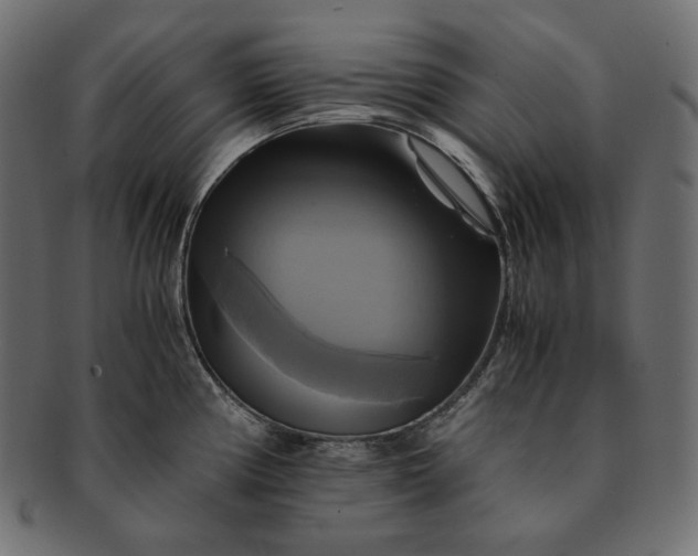 X0000091711194200709071405