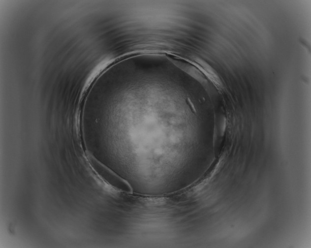 X0000091711196200709071405