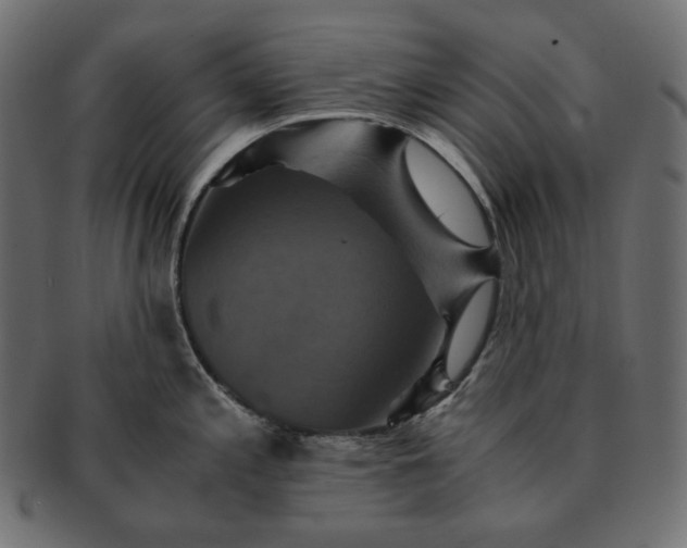 X0000091711197200709071405