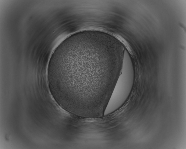 X0000091711199200709071405