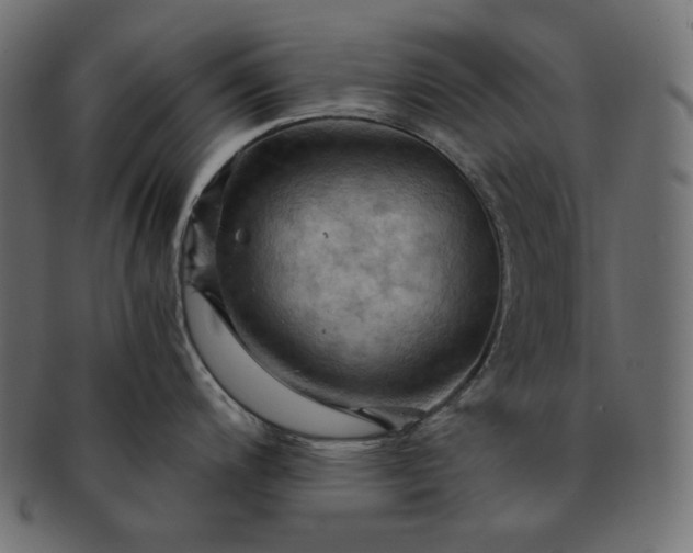 X0000091711200200709071405