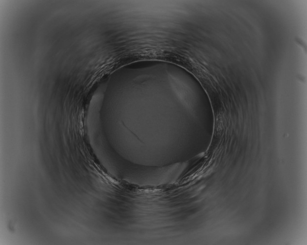 X0000091711202200709071404