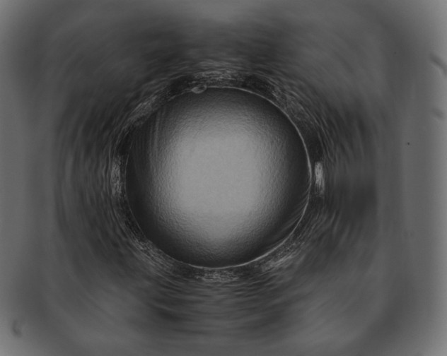 X0000091711203200709071404