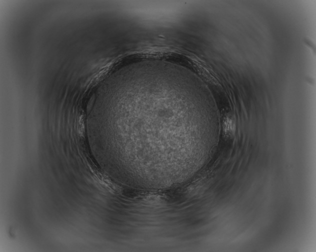 X0000091711204200709071404