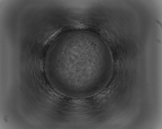 X0000091711205200709071404