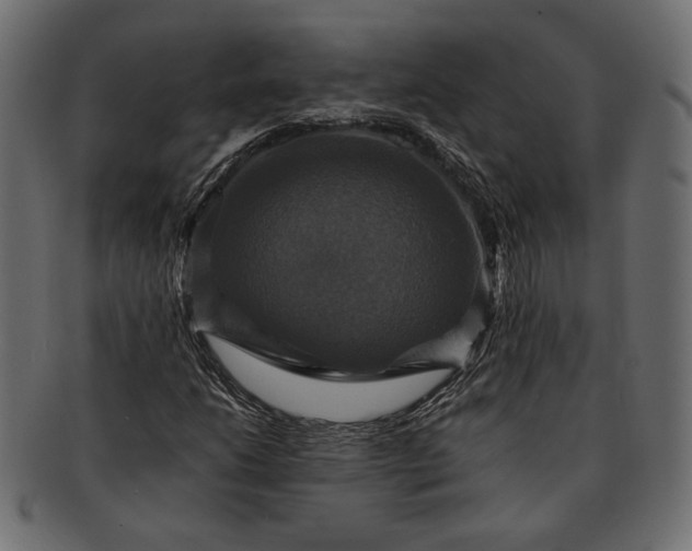 X0000091711206200709071404