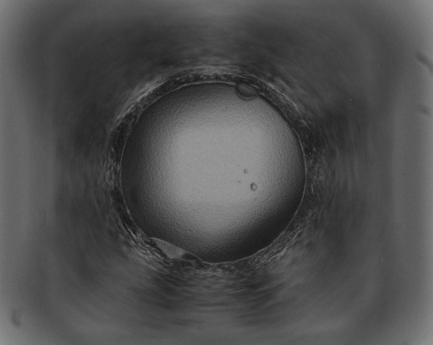 X0000091711207200709071405