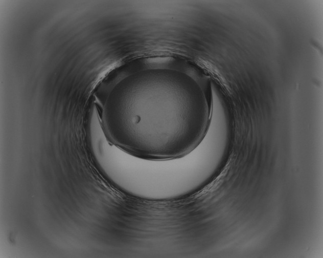 X0000091711210200709071405