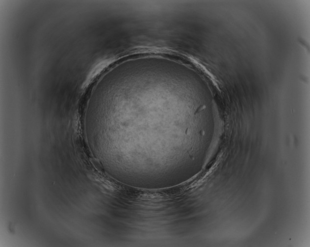 X0000091711215200709071405