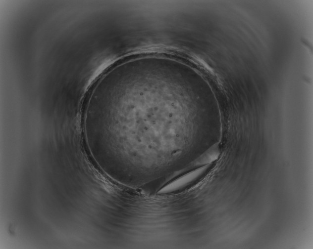 X0000091711216200709071405