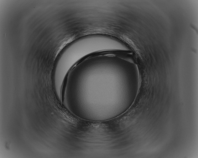 X0000091711218200709071405