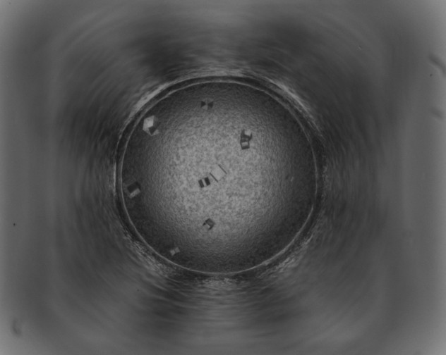 X0000091711220200709071405