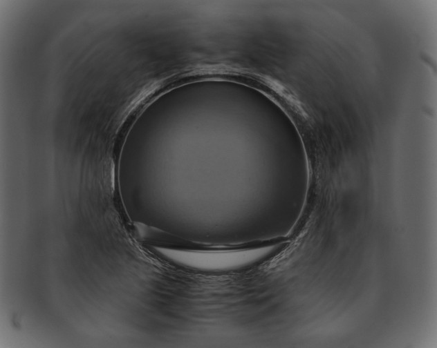 X0000091711221200709071405