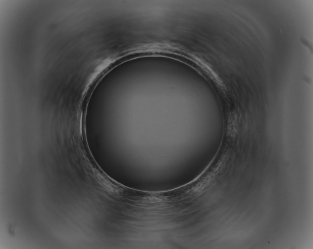 X0000091711224200709071405