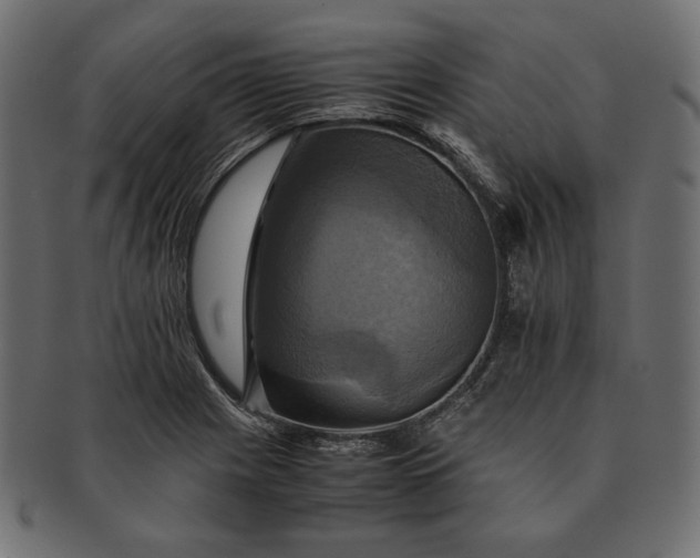 X0000091711225200709071405