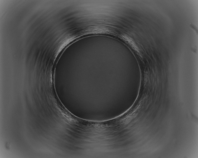 X0000091711226200709071405