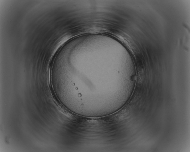 X0000091711227200709071405