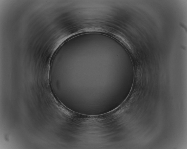 X0000091711228200709071405