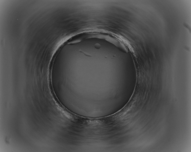 X0000091711231200709071405