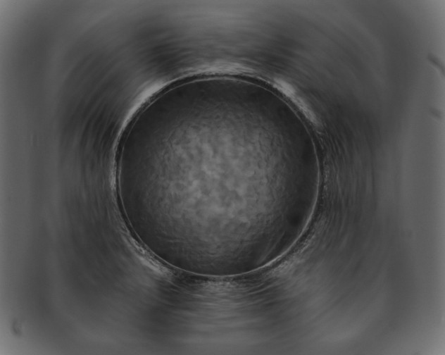 X0000091711232200709071405