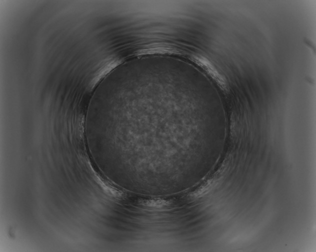 X0000091711233200709071405