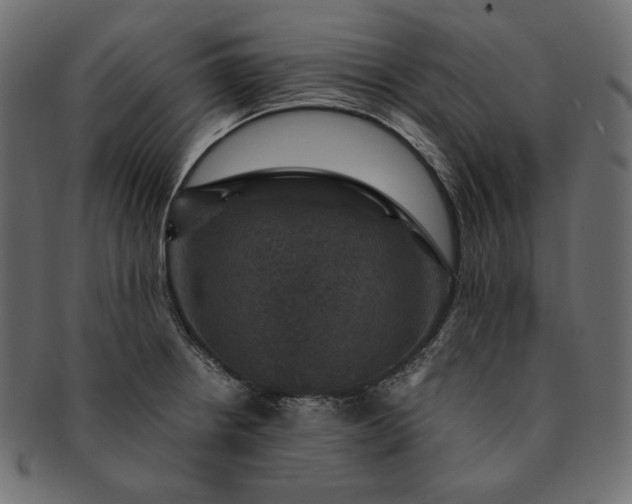 X0000091711234200709071405