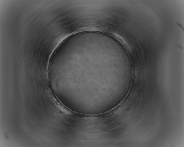 X0000091711236200709071405