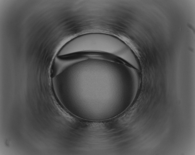 X0000091711238200709071405