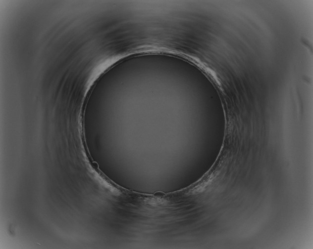 X0000091711239200709071405