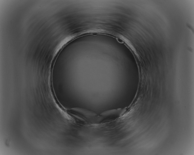 X0000091711245200709071405