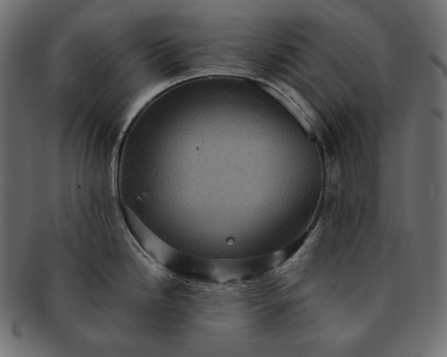 X0000091711246200709071405