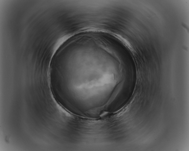 X0000091711247200709071405