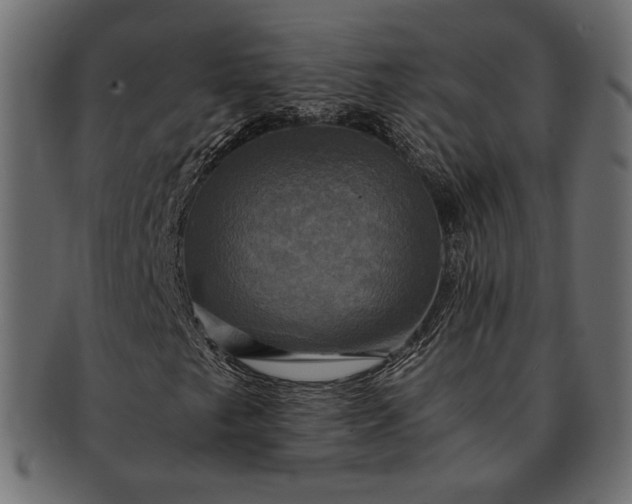 X0000091711249200709071404