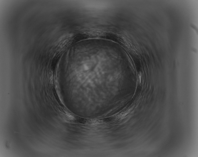 X0000091711251200709071404