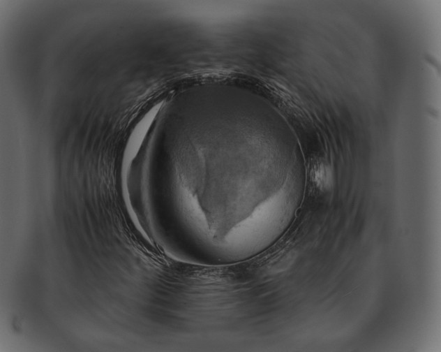 X0000091711252200709071404