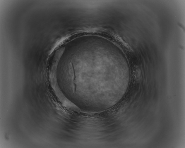 X0000091711256200709071404