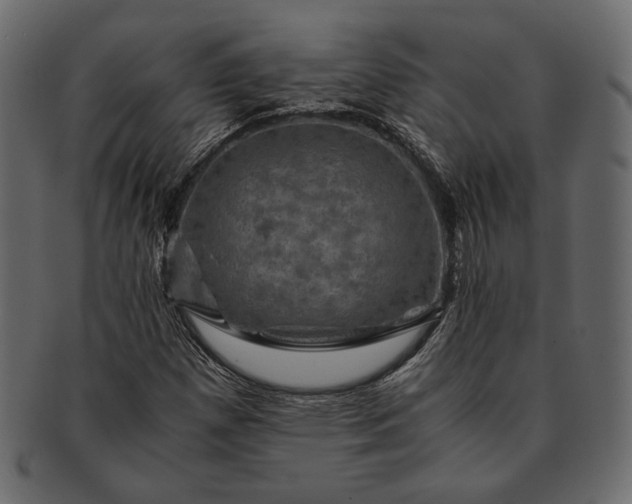 X0000091711257200709071404