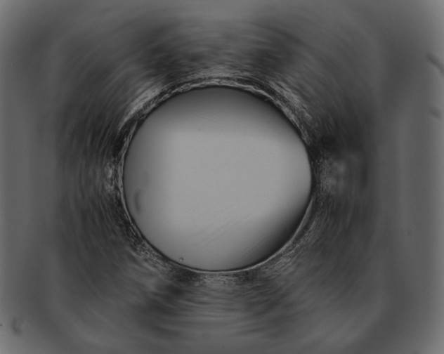 X0000091711258200709071404