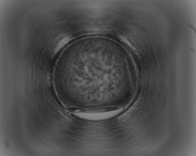 X0000091711259200709071404