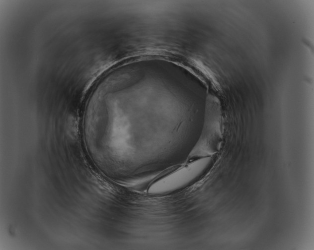 X0000091711260200709071404