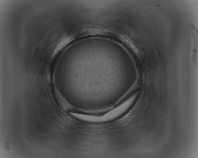 X0000091711261200709071404