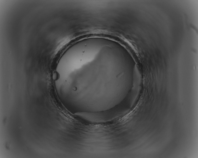 X0000091711263200709071404