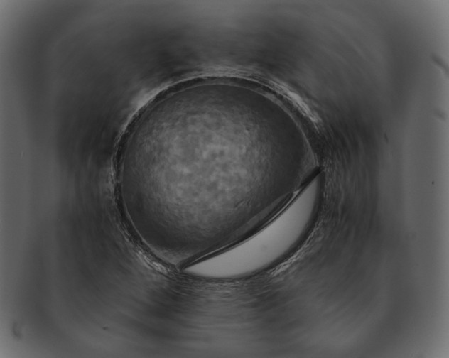 X0000091711264200709071404