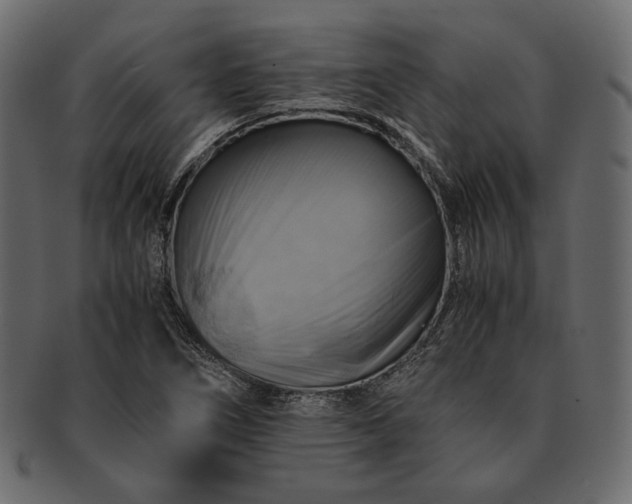 X0000091711266200709071404