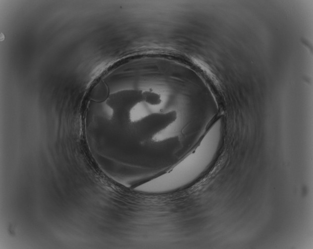 X0000091711267200709071404